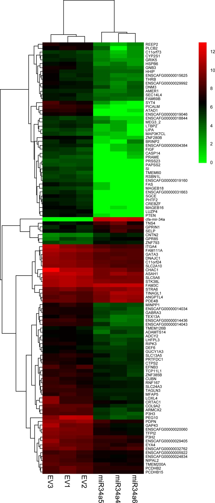 Fig 4