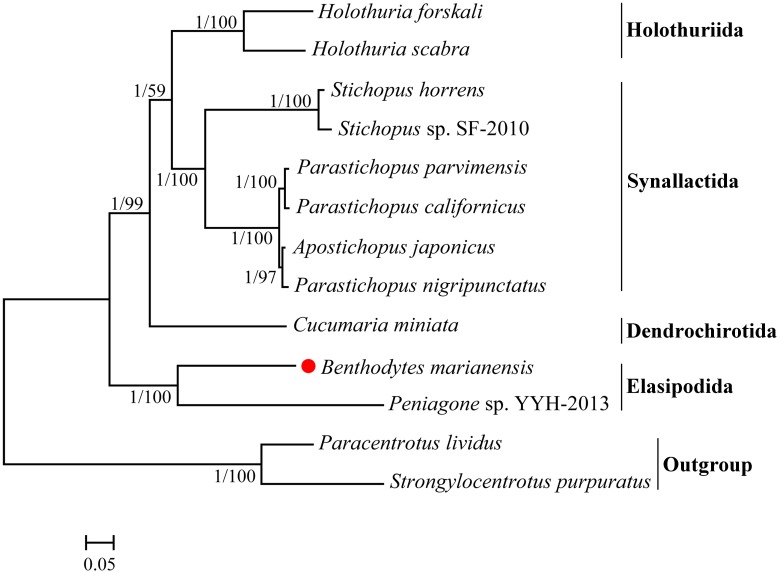 Fig 4