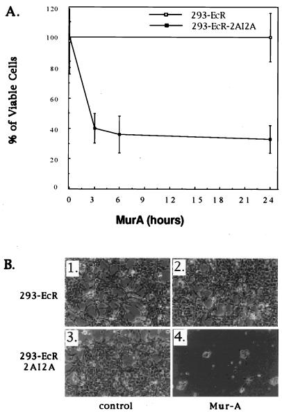 FIG. 5