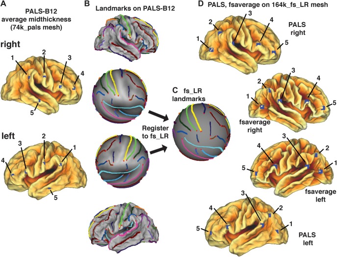 Figure 3.