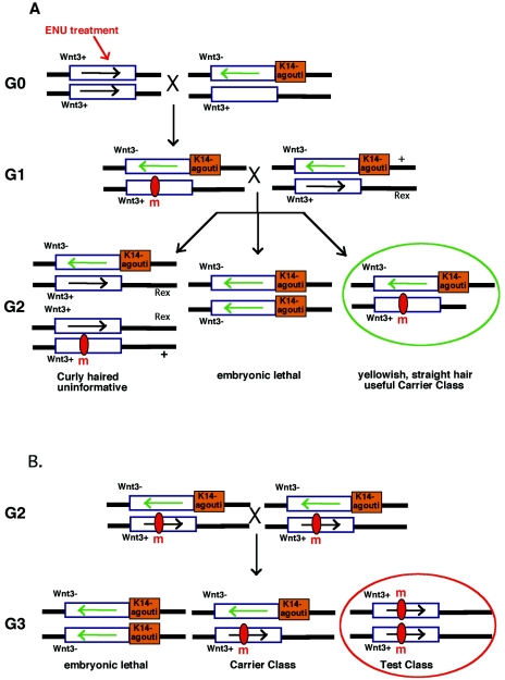 FIG. 4.