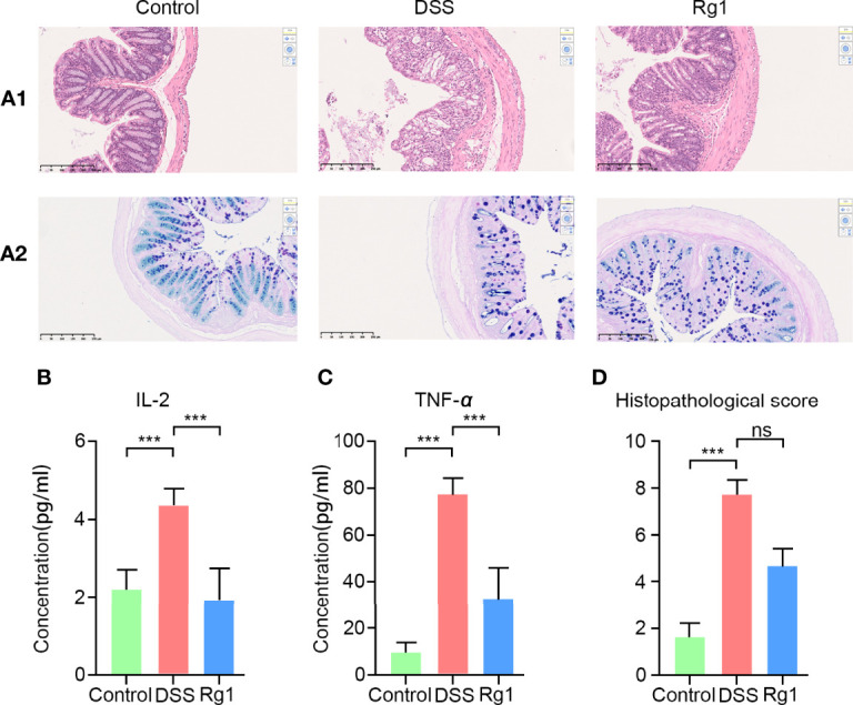 Figure 2