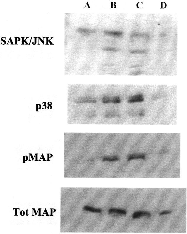 Figure 9.