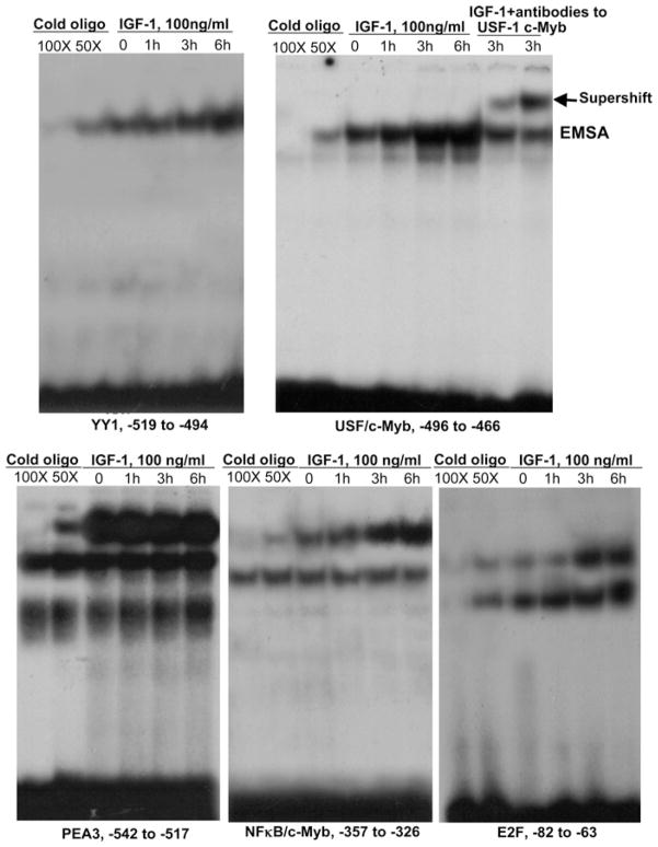 Figure 5