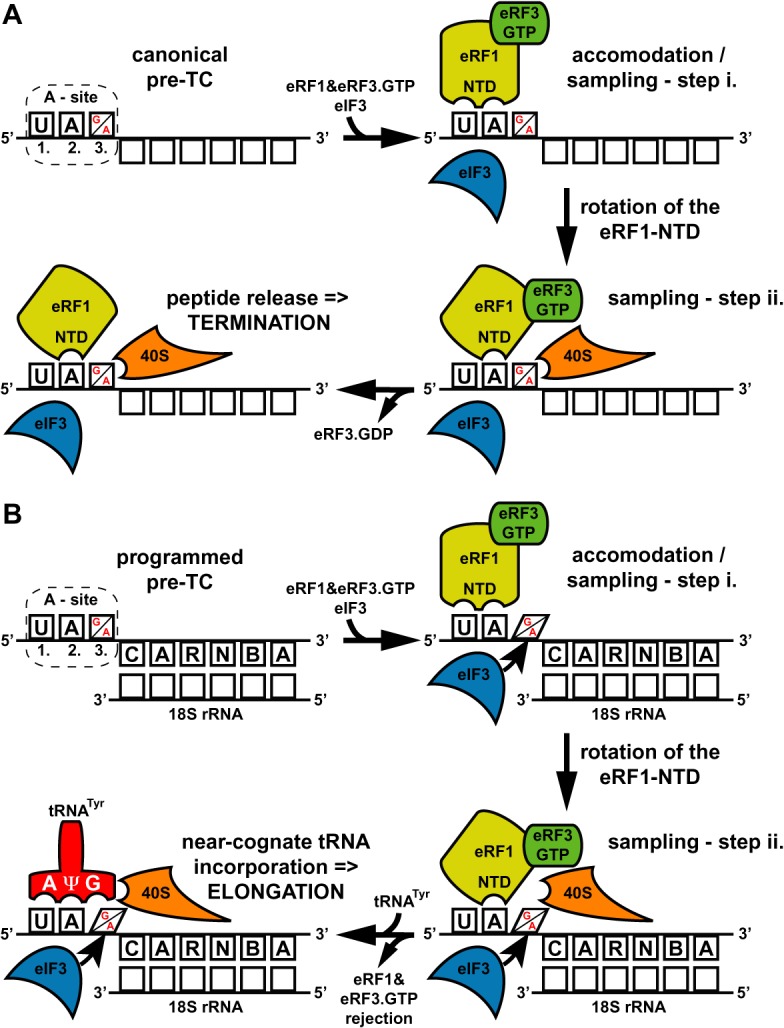 Figure 7.