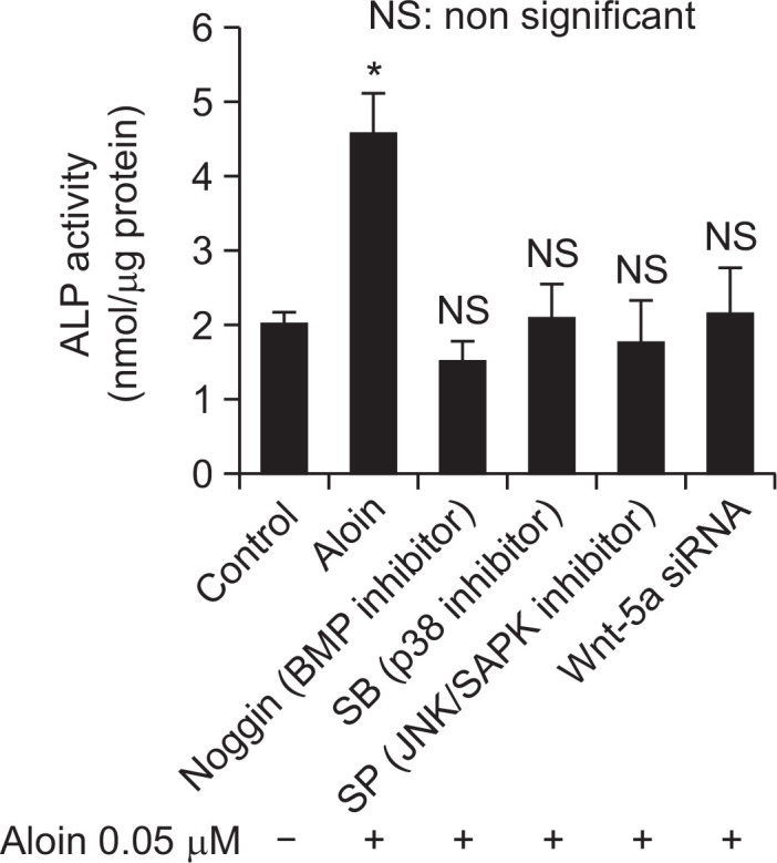 Fig. 8.