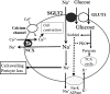 Fig. 2.