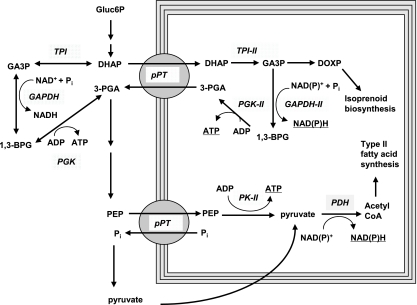 FIG. 8.