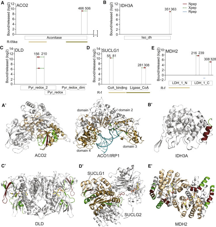 Figure 7