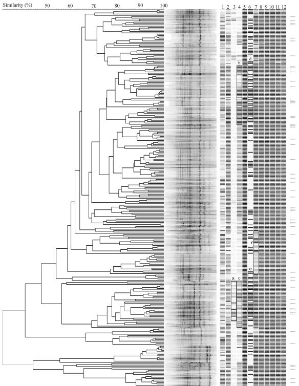 FIG. 6.