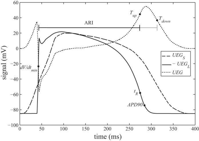 Fig. 1.