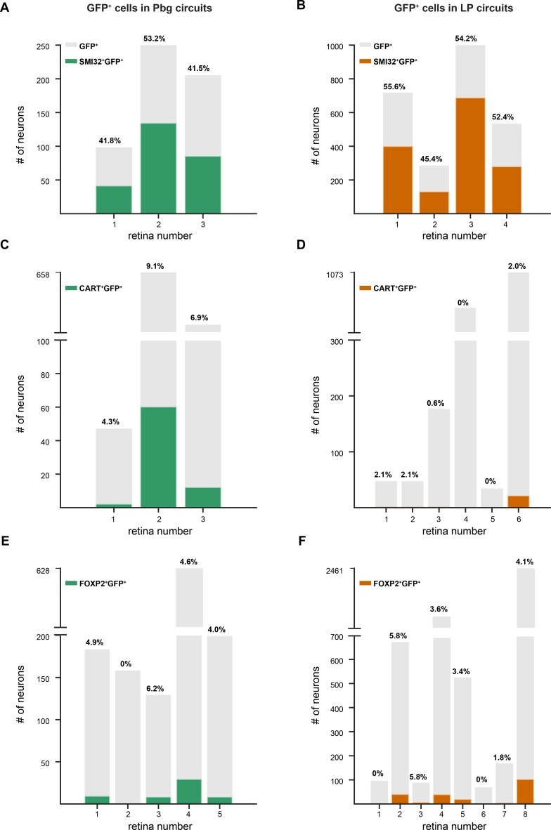 Figure 3—figure supplement 1.