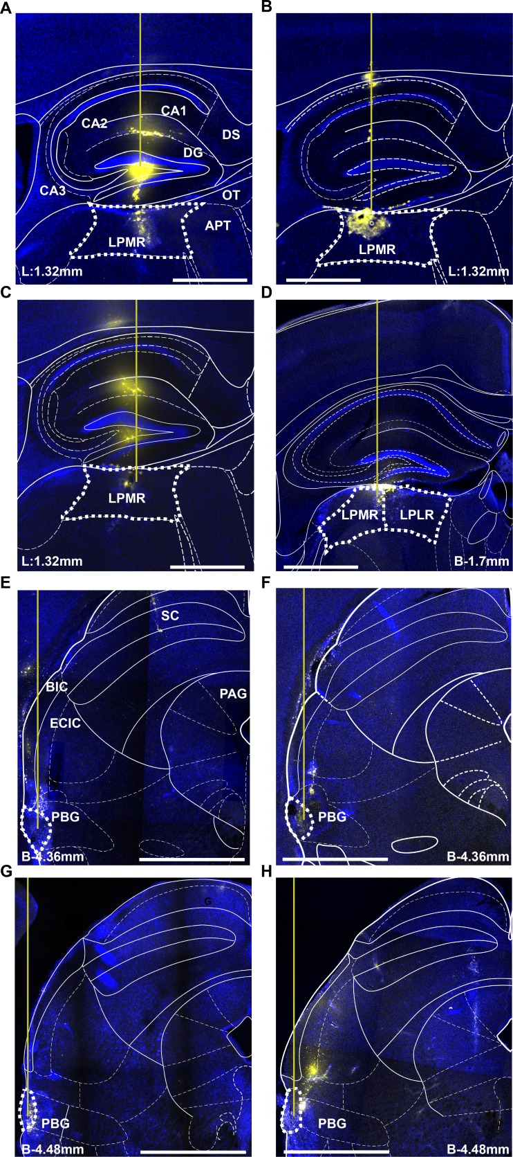 Figure 1—figure supplement 2.