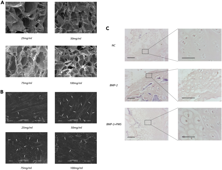 Figure 4