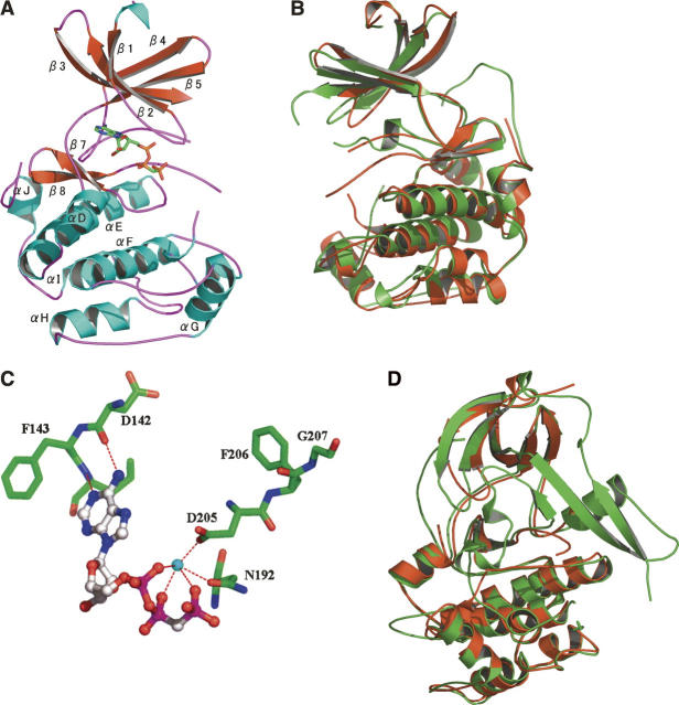 Figure 2.