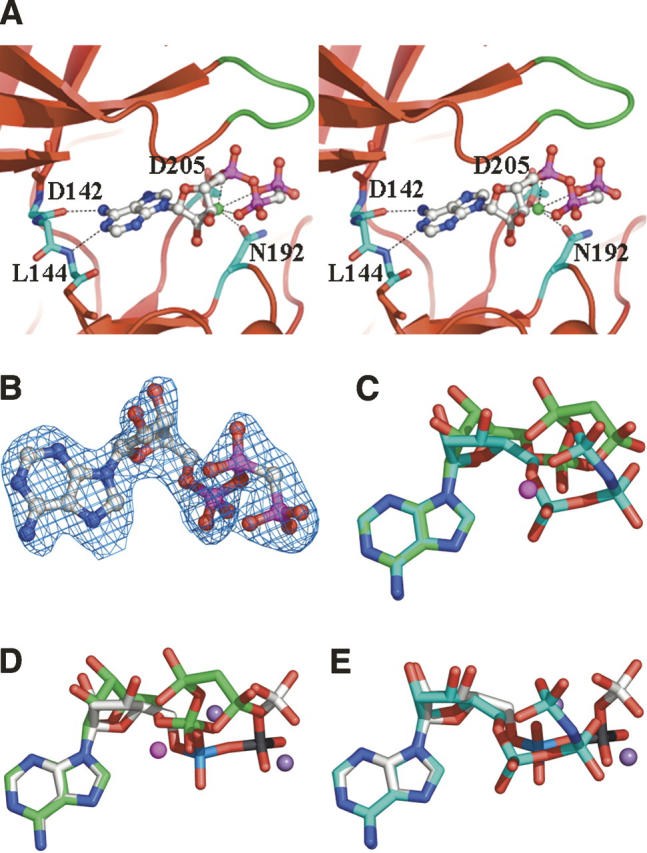 Figure 3.