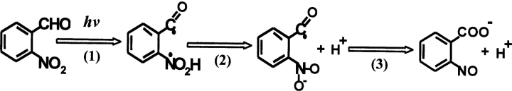 Scheme 1.