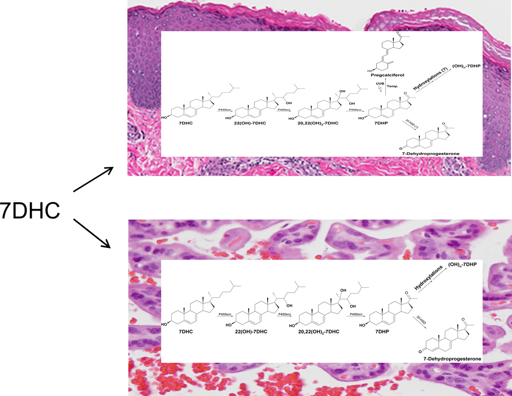 Figure 14