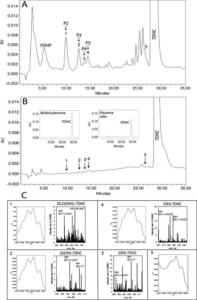 Figure 9