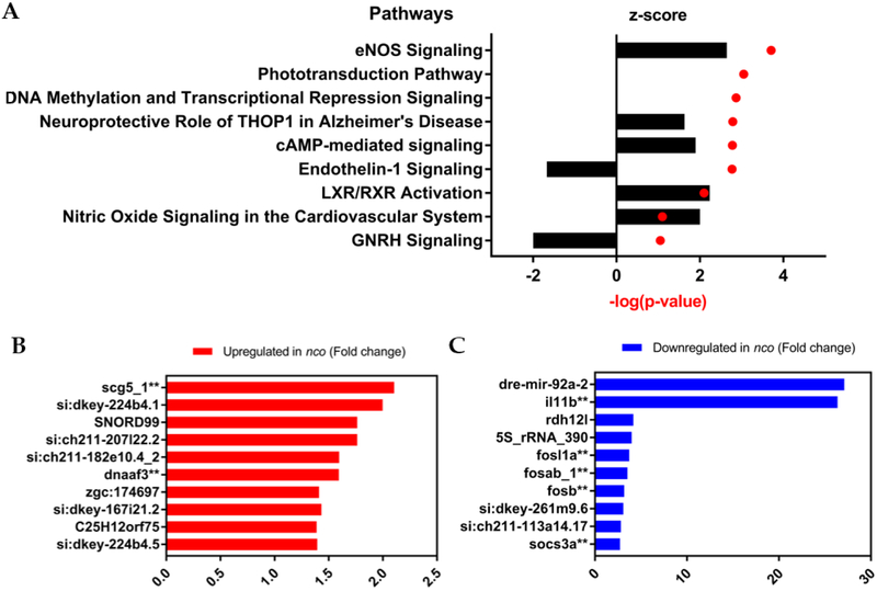 Figure 4: