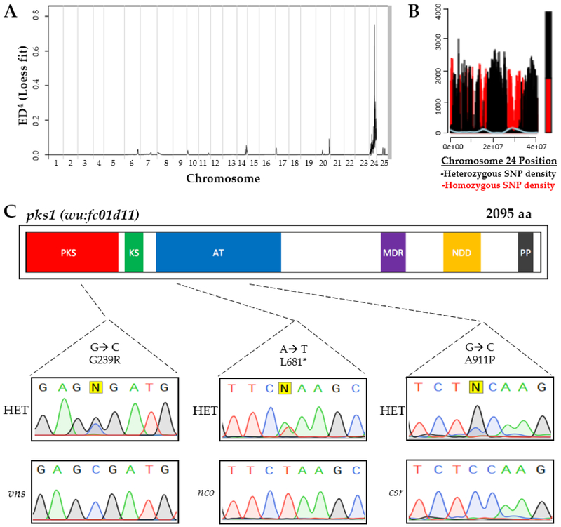 Figure 2: