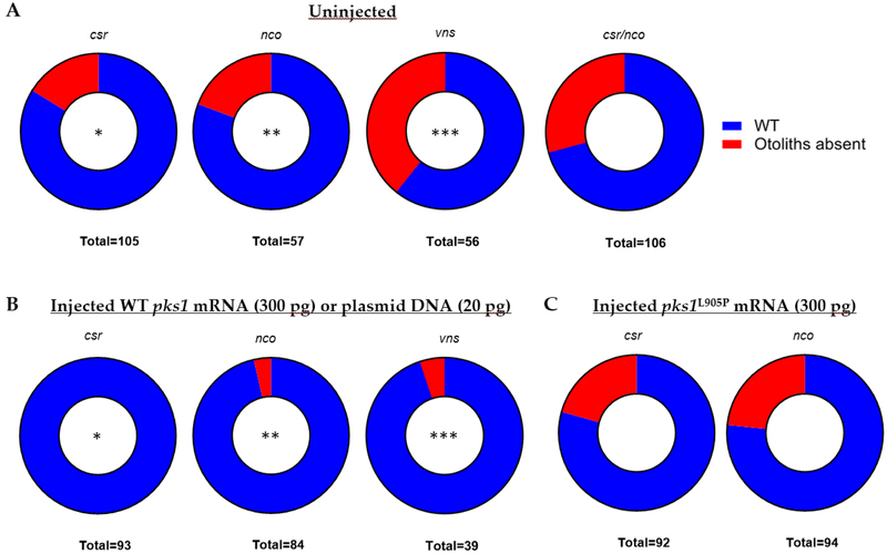 Figure 3: