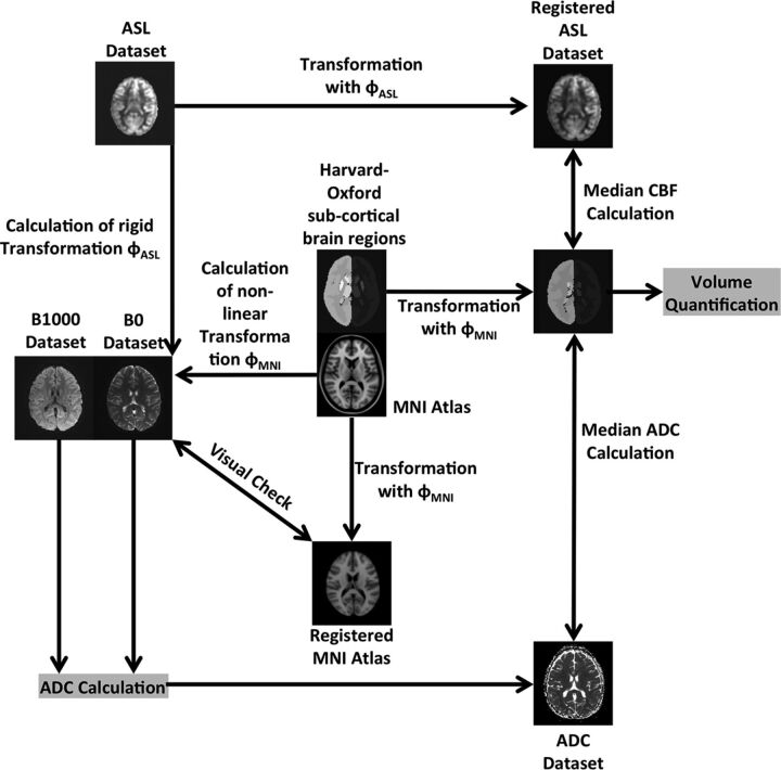 Fig 1.