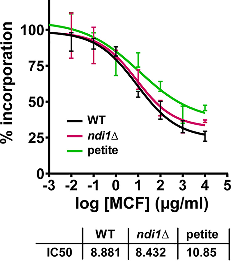 FIG 7