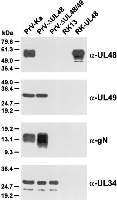 FIG. 5.