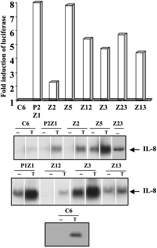 Fig. 2.