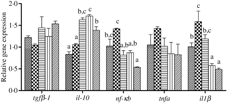 Fig. 6.