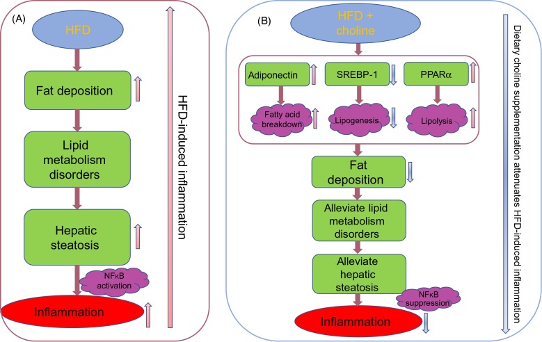 Fig. 11.