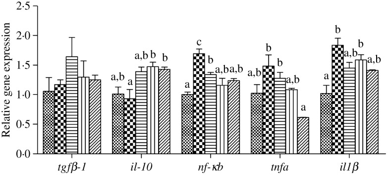 Fig. 10.