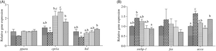 Fig. 5.