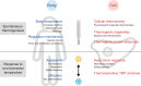 Box 1 Keywords in biological studies that correlate temperature and physiological events. These indices are explained by representative literature