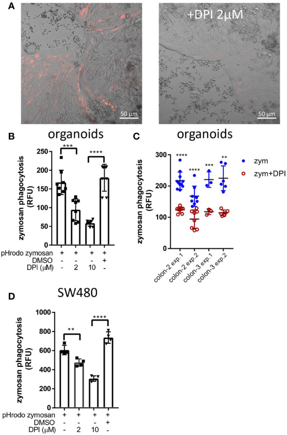 Figure 6