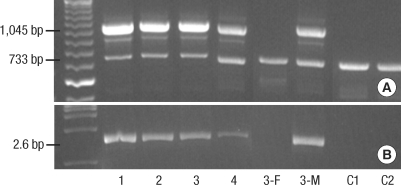 Fig. 3