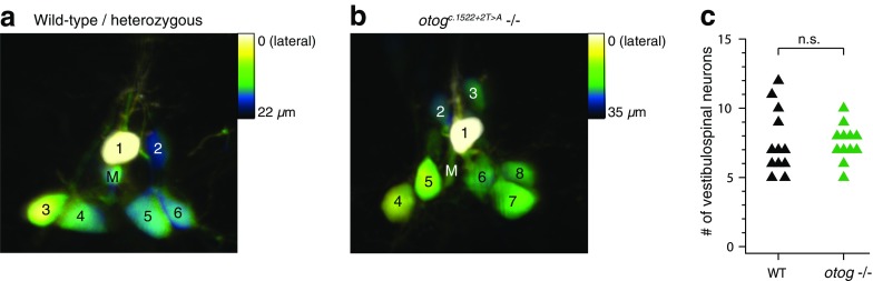 FIG. 4