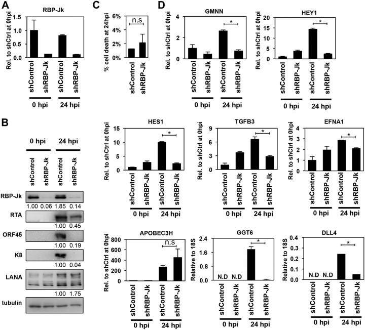 FIG 6