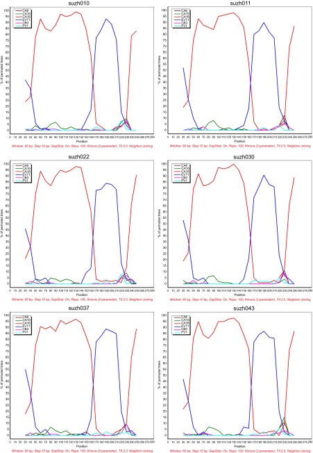 Figure 6