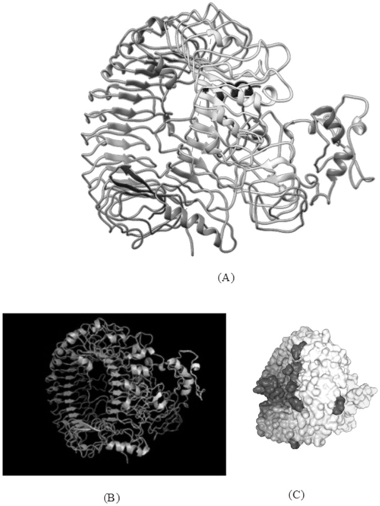 Figure 7