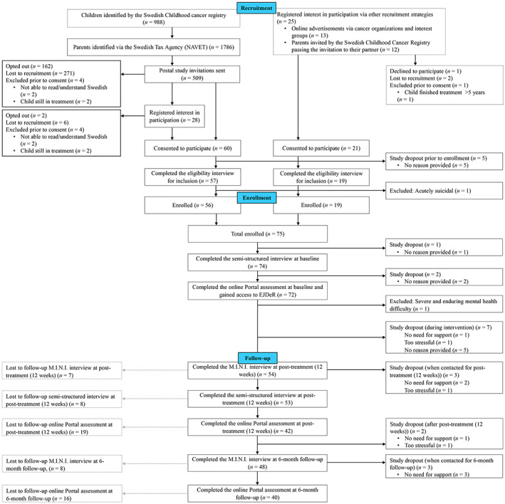 FIGURE 1