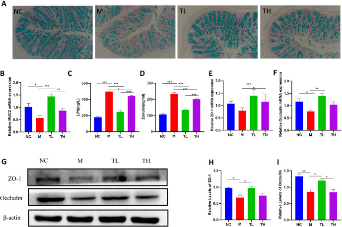 Fig 8