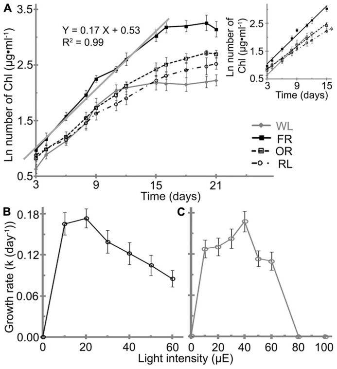 FIGURE 3