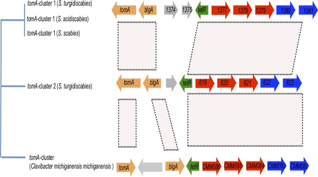 FIG 3