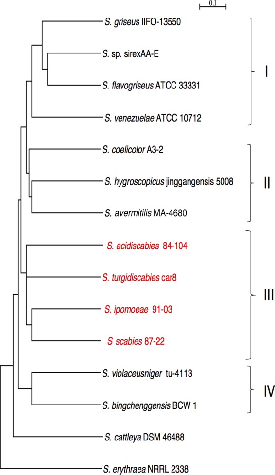 FIG 1