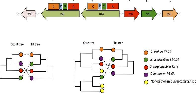 FIG 6