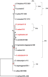 FIG 4