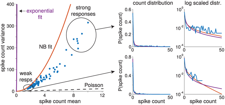 Figure 7: