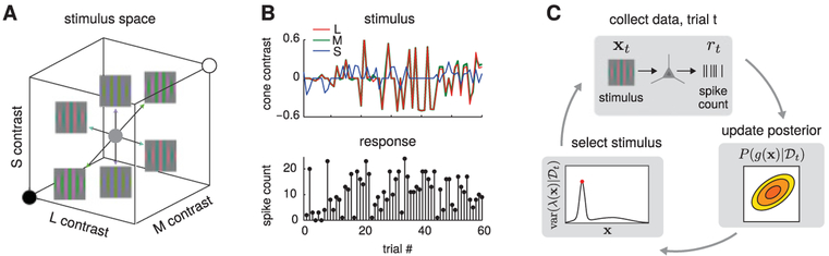 Figure 9: